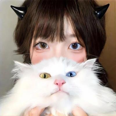 全家逃走中